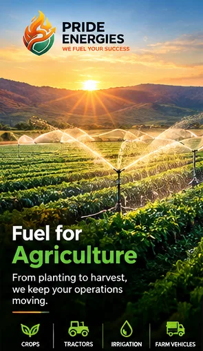 Irrigated crops at sunset